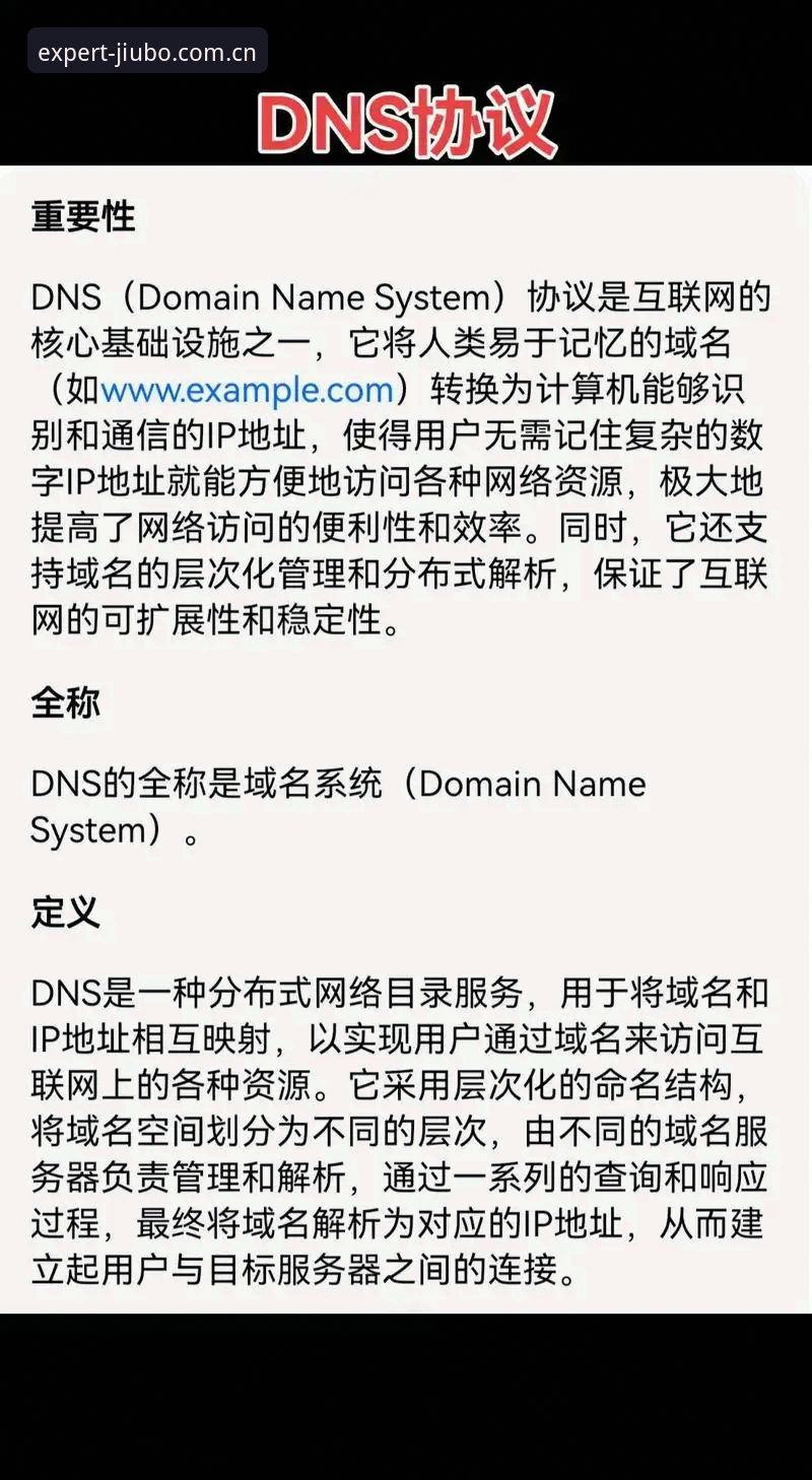 CN注册地址 vs 境外入口：行家为什么只选前者？数据说话